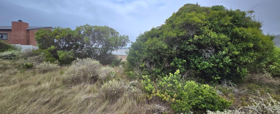 0 Bedroom Property for Sale in Kleinbaai Western Cape